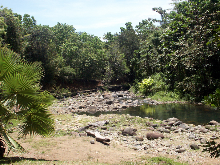28 - Jardin des eaux 013.jpg - DCF 1.0